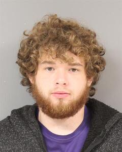 Mugshot of WITT, KODA  